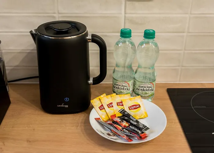 Daire Traugutta Comfort By Bookinghost Poznan